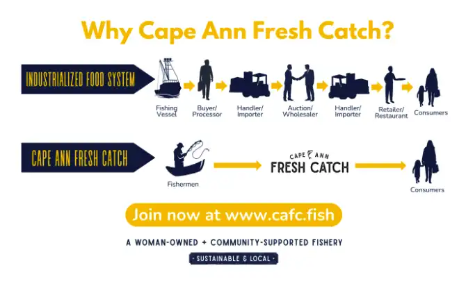 Cape Ann Fresh Catch Food System Model