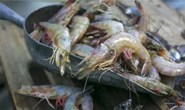 Louisiana Wild Caught Shrimp