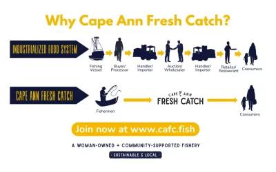 Not enough people know that Cape Ann Fresh Catch solves a huge problem in our food supply.