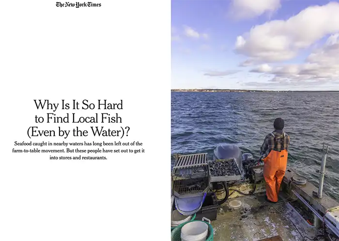 Cape Ann Fresh Catch - Gloucester, MA Fishermen