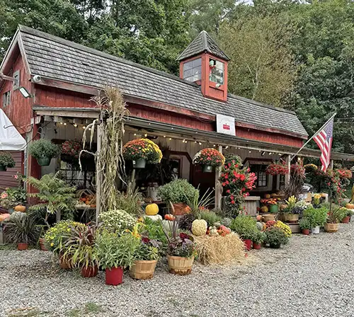 Cape Ann Fresh Catch Local Partnerships - Utopia Farms